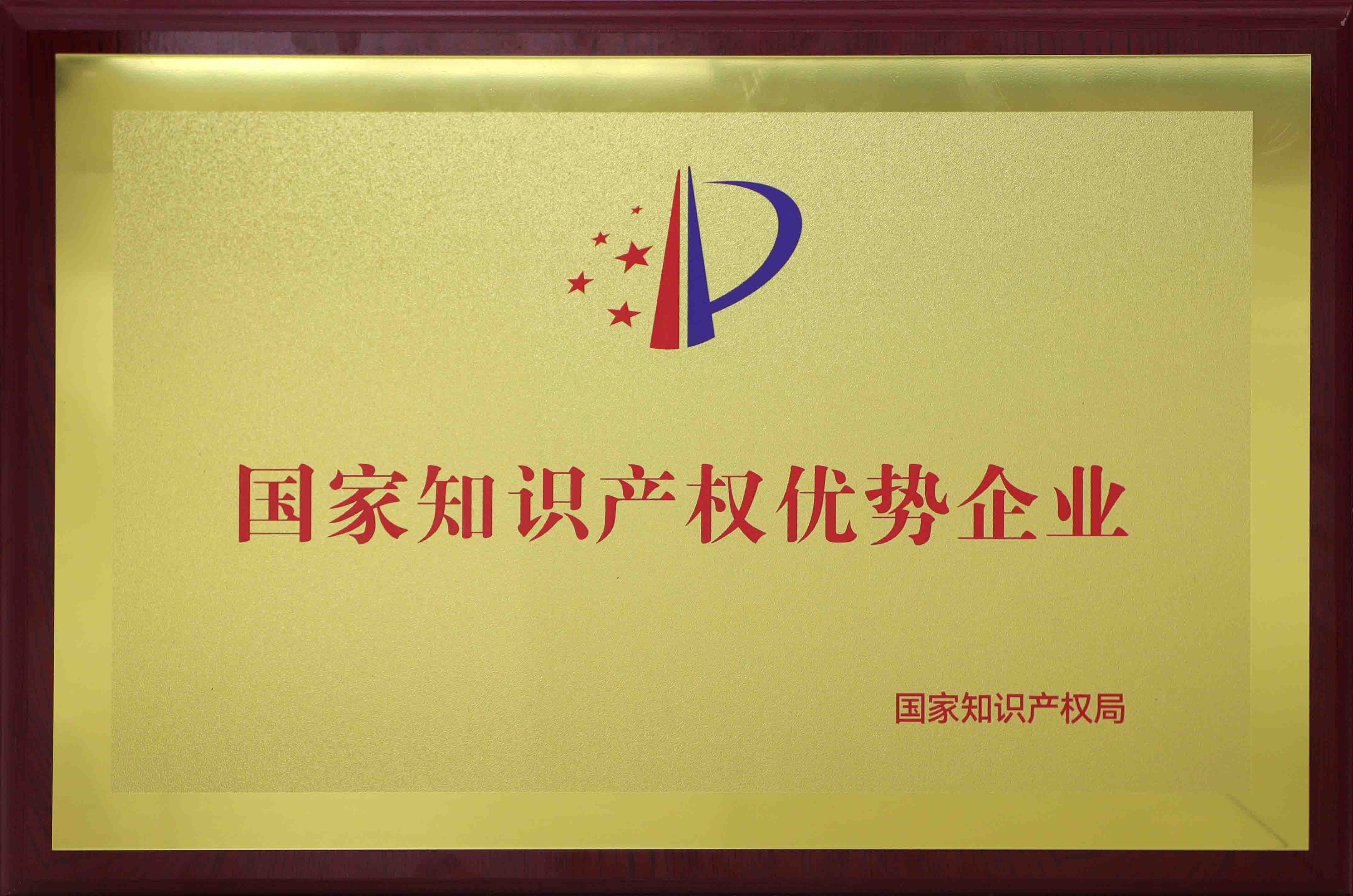 國家知識(shí)產(chǎn)權(quán)優(yōu)勢企業(yè).jpg